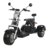 Trike citycoco scooter 60V 40AH, 2000W Ship from US - Image 2