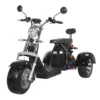 3 wheel electric scooter 60V 40AH, Ship from EU, EEC/COC, Free Shipping and TAX - Image 2