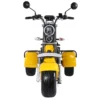 Fat tire tricycle for adults trike citycoco 2000w with Delivery Basket free shipping and tax - Image 5