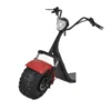 Off Road Citycoco Scooters 1500W Big Wheel Electric Tricycle, 3 Wheel Trike Electric Motorcycles - Image 6