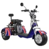 3 wheel electric scooter 60V 40AH, Ship from EU, EEC/COC, Free Shipping and TAX - Image 9
