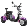 Fat tire tricycle for adults trike citycoco 2000w with Delivery Basket free shipping and tax - Image 10