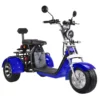 Fat tire tricycle for adults trike citycoco 2000w with Delivery Basket free shipping and tax - Image 13