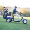 Golf Trike Scooter 3 Wheel Fat Tire Citycoco - Image 7