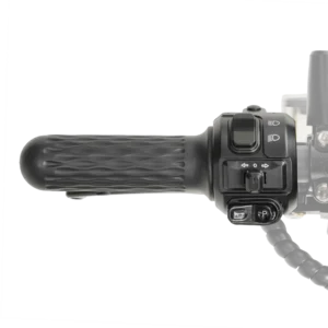Mangosteen Eahora M8S combination switch