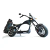 Street Legal Fat Tire Golf Scooter 2000W M1, Single Rider Golf Club Carts - Image 7
