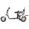 Golf Trike Scooter 3 Wheel Fat Tire Citycoco - Image 2