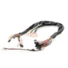 Mangosteen scooter wiring harness - Image 2