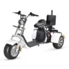 Golf Trike Scooter 3 Wheel Fat Tire Citycoco - Image 6