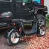Electric moped scooter 60V 40ah, 2000W 55km/h, 120km range with basket - Image 3