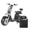 Citycoco battery 60v 20ah - Image 6