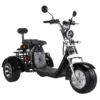 3 wheel electric scooter 60V 40AH, Ship from EU, EEC/COC, Free Shipping and TAX - Image 1