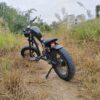 Mantosteen e Bike Chopper - Image 9