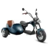 Mangosteen eahora m1p side car - Image 2