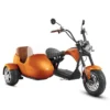 Mangosteen eahora m1p side car - Image 3