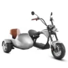 Mangosteen eahora m1p side car - Image 4