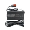 Eahora scooter Mangosteen citycoco Fast Charger - Image 5