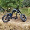 Mantosteen e Bike Chopper - Image 10