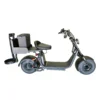 Golf phat tire scooter X10 1500W - Image 1