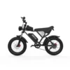Ridstar Q20 PRO 2000W Dual Motor Electric Bike - Image 11