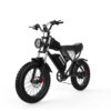 Ridstar E Bike 1500W 48V 20Ah Q20 - Image 5