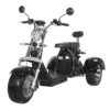 Shansu three wheeler CP-3 turning light - Image 2