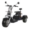 Fat tire tricycle for adults trike citycoco 2000w with Delivery Basket free shipping and tax - Image 2